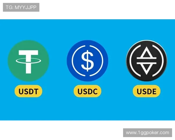 深入解析USDT币商的市场现状与发展趋势